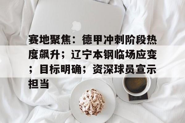 关于赛地聚焦：德甲冲刺阶段热度飙升；辽宁本钢临场应变；目标明确；资深球员宣示担当的信息-爱游戏官网入口